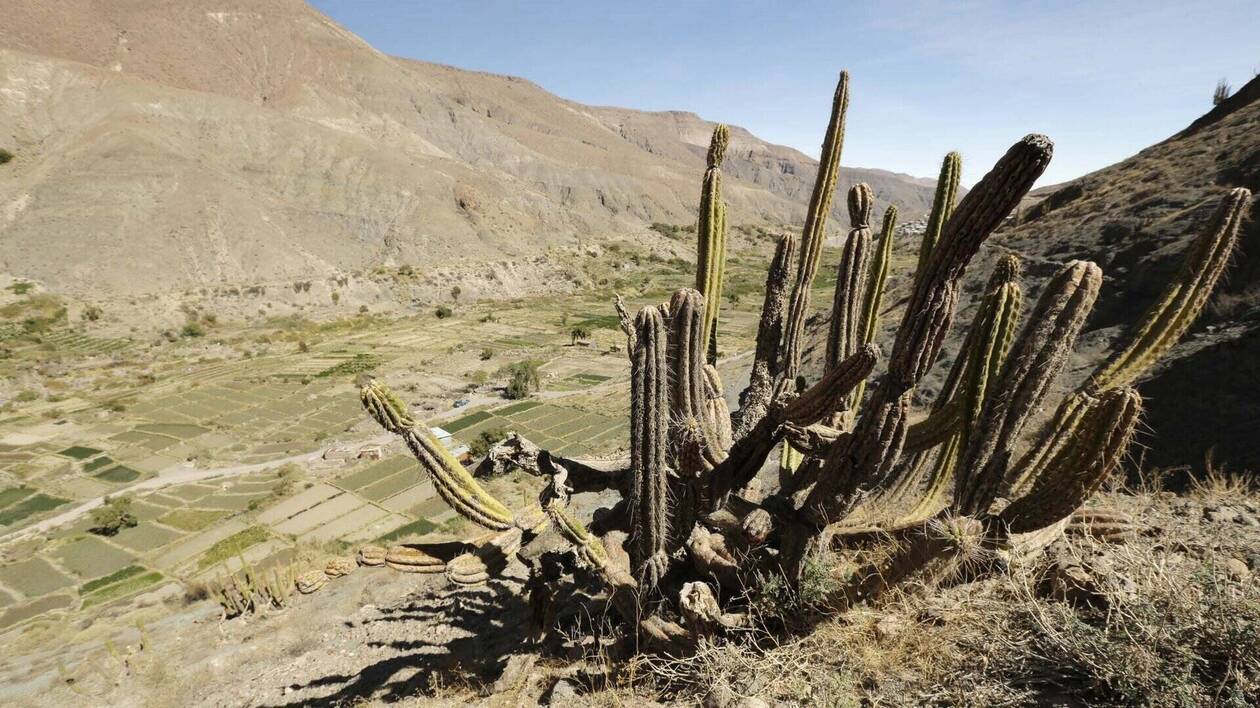 Photogramme de Planète Sable : Atacama